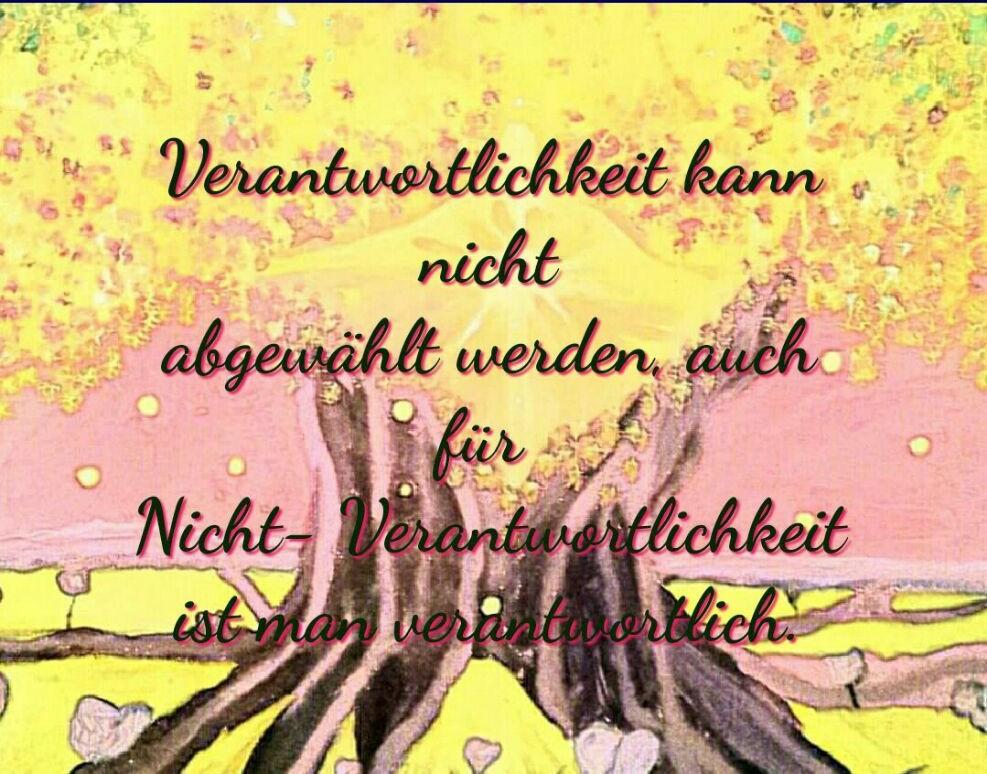 Impuls13